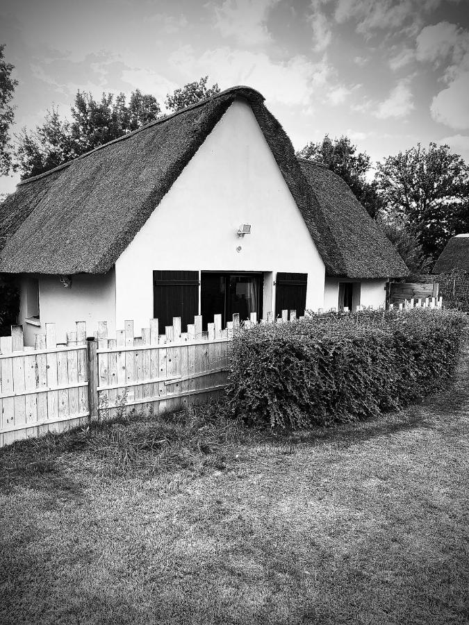 gîte le 403 Saint-Lyphard Extérieur photo